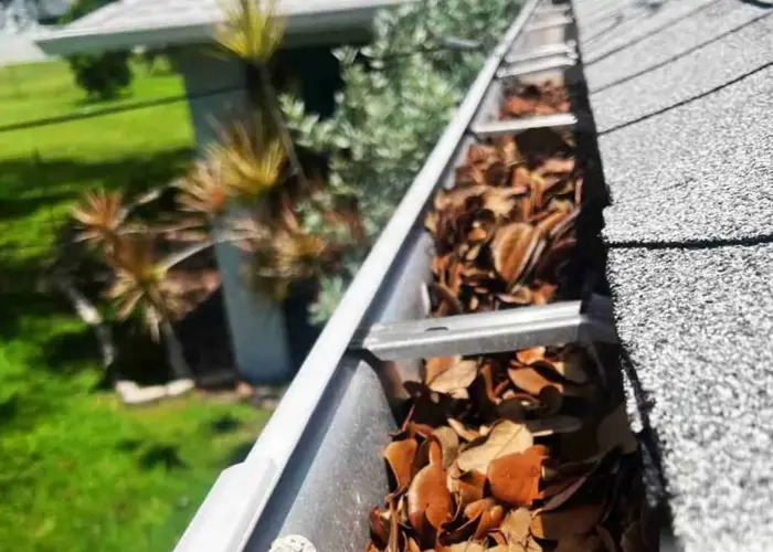 Bartlett gutter cleaning home page